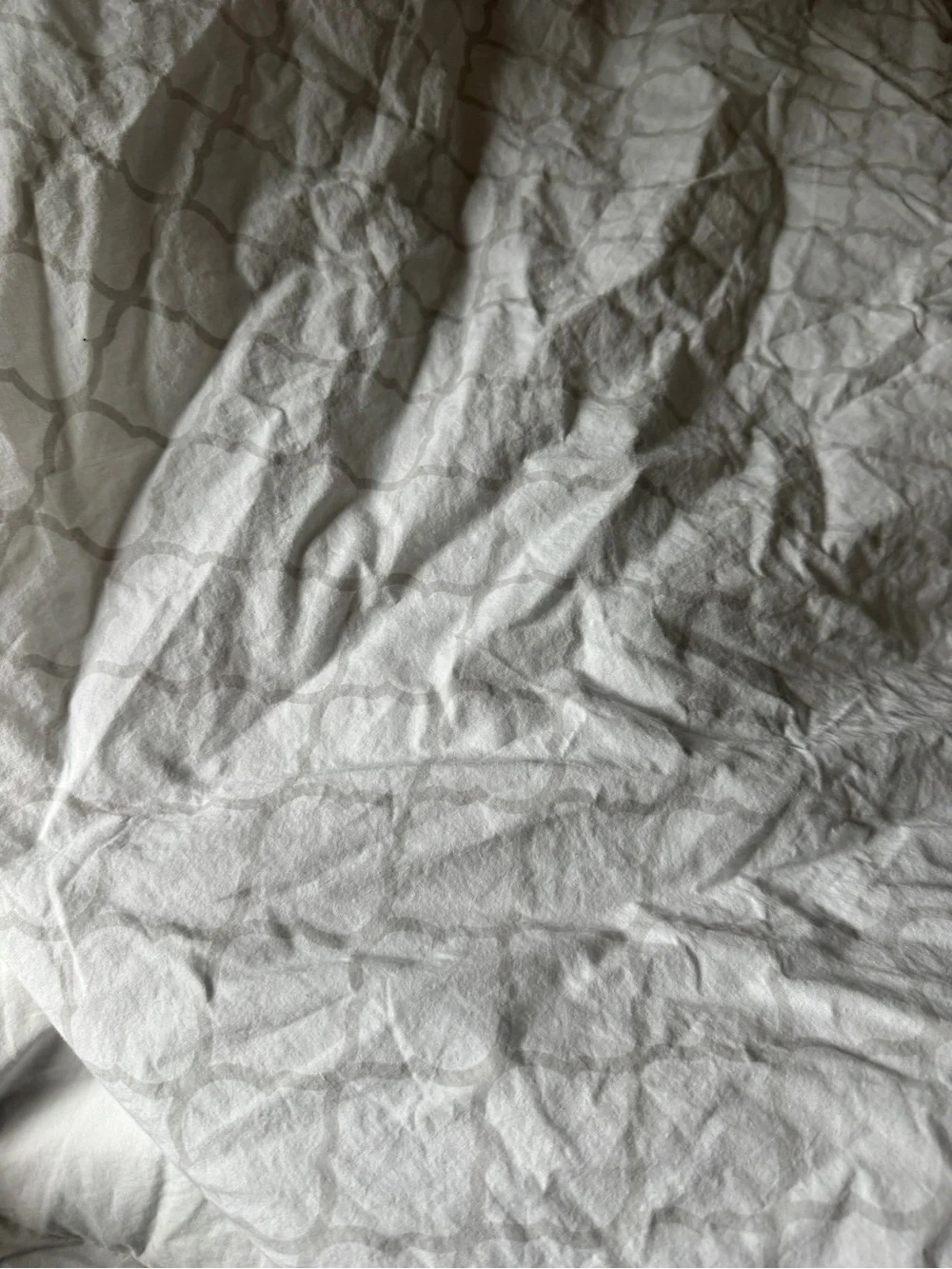 Twin XL Fitted Sheet 100% Cotton Grey Trellis Print White Quatrefoil Bedding TXL